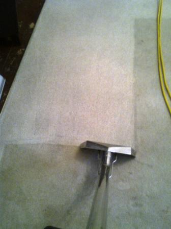 Profesional Carpet cleaning Services