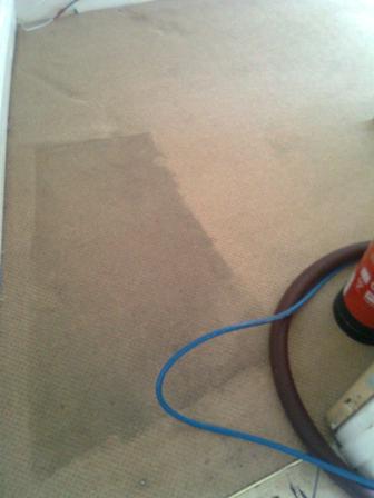 Profesional Carpet cleaning Services