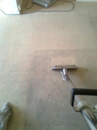 Profesional Carpet cleaning Services