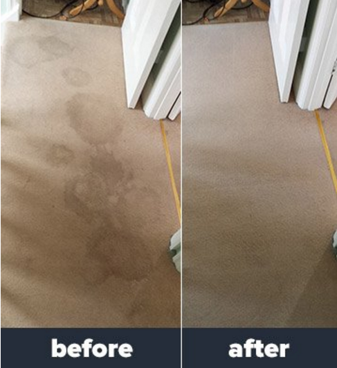 Carpet Cleaning