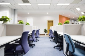 Office & Commercial Carpet Cleaning